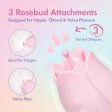 (image for) Play With Me - Romantic Rose - Pink