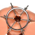 (image for) Oculus Stainless Steel Anal Explorer