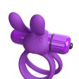 (image for) 4B Ohare XL - Grape