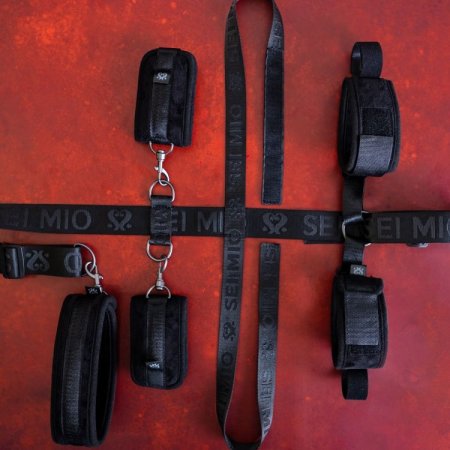 (image for) SEI MIO - Seated and Mistreated - Unique Under Chair Restraint System