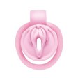 (image for) Pussification Chastity Cock Cage