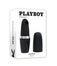 (image for) TESTER - Playboy Excursion