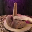 (image for) Evolved Easy Rider Dark - thrusting