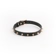 (image for) Hustler Taboo - Medusa Collar - Black