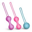 (image for) Silicone Weighted Kegel Ball Set