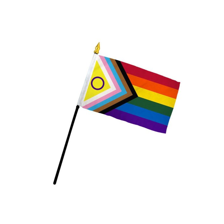 (image for) Inclusive Pride 4\" x 6\" Stick Flag