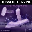 (image for) Thrust 'N' Grind Thrusting/Vibrating R/C
