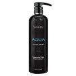 (image for) Aqua 16oz