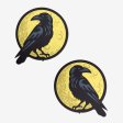 (image for) Black Raven and Full Moon Pasties
