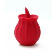 (image for) TESTER - Skins Rose Buddies - The Rose Lix