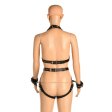 (image for) Harness With Restraints