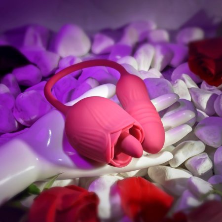 (image for) Evolved Wild Rose