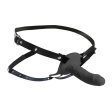 (image for) 2" Erection Realistic Sheath - Black