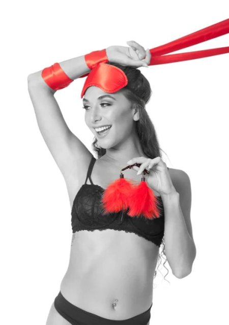 (image for) Amor Bondage Beginner Kit