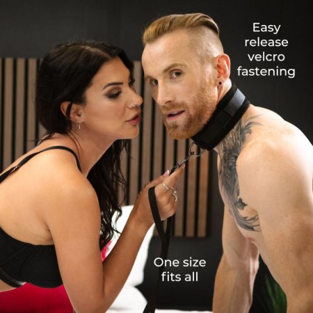 (image for) SEI MIO Take the Lead Padded Collar/Leas