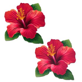 Tropical Vibrant Red Hawaiian Hibiscus Botanical Flower Breast Pasties