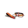 (image for) HEAT TEASE - COLLAR - BLOOD ORANGE/YELLOW