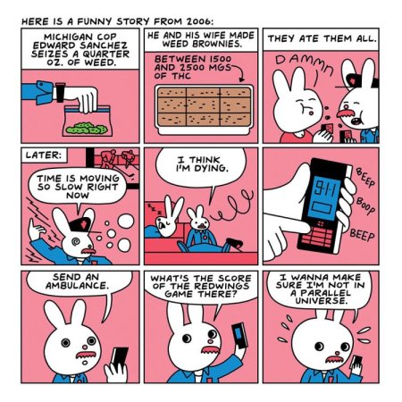 (image for) Are You Too High? Storybook *