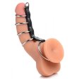 (image for) Gates of Hell Leather Chastity Device