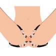 (image for) Spread XL Labia Spreader Straps