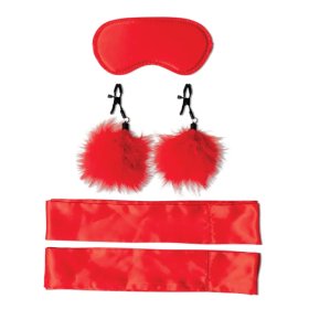 (image for) Amor Bondage Beginner Kit