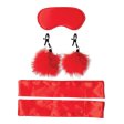 (image for) Amor Bondage Beginner Kit