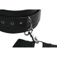 (image for) Acquire Easy Access Thigh Harness