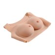 (image for) Gender-X Undergarments Plate C-cup Light