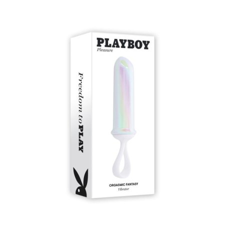 (image for) Playboy Orgasmic Fantasy