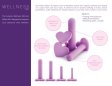 (image for) Wellness - Dilator Kit - Purple