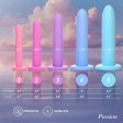 (image for) Silicone Pelvic Kegel Exerciser Set