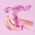 (image for) TESTER - Elektra App-Enabled E-Stim Kegel Trainer
