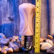 (image for) Zero Tolerance Tight Lipped - Light