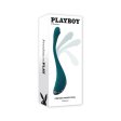 (image for) TESTER - Payboy Pinpoint Perfection
