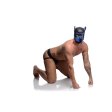 (image for) Spike Neoprene Puppy Hood - Blue