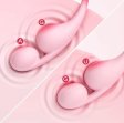 (image for) Vibrosa App-Controlled Pressure Sensing Dual-Ball Egg Vibrator