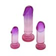 (image for) Adam & Eve Sunset Dreams Anal Plug Training Kit