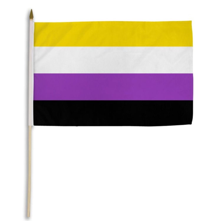 (image for) NON-BINARY 12\" x 18\" Stick Flag