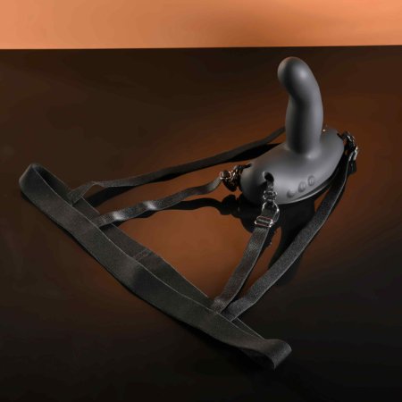 (image for) Evolved Come Closer - harness with RC vibrating