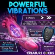(image for) Xenox Vibrating Silicone Dildo With R/C
