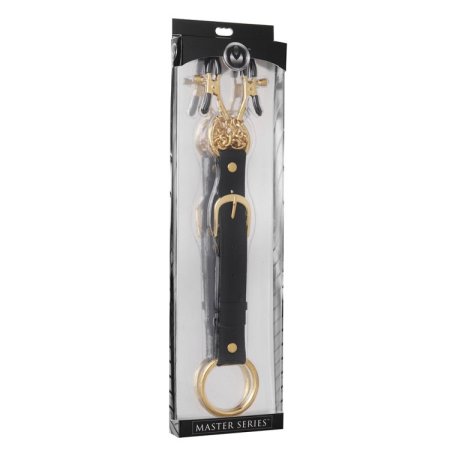 (image for) Penitentiary Nipple Clamps And Cock Ring Set