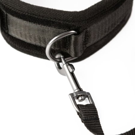 (image for) SEI MIO Take the Lead Padded Collar/Leas