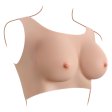 (image for) Gender-X Undergarments Plate C-cup Light