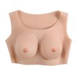 (image for) Gender-X Undergarments Plate C-cup Light