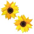 (image for) Sunflower Pasties