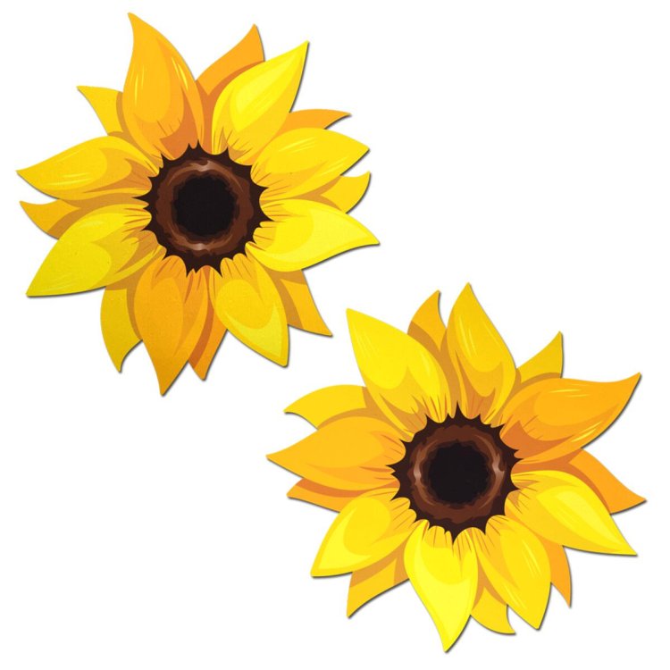 (image for) Sunflower Pasties
