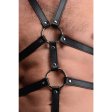 (image for) STRICT Male Body Harness
