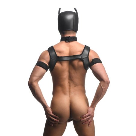 (image for) Full Pup Arsenal Set