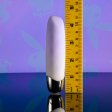 (image for) Playboy Bunny Bunch thick bullet