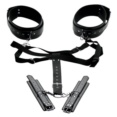 (image for) Acquire Easy Access Thigh Harness
